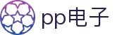 PP电子(中国大陆)官方网站